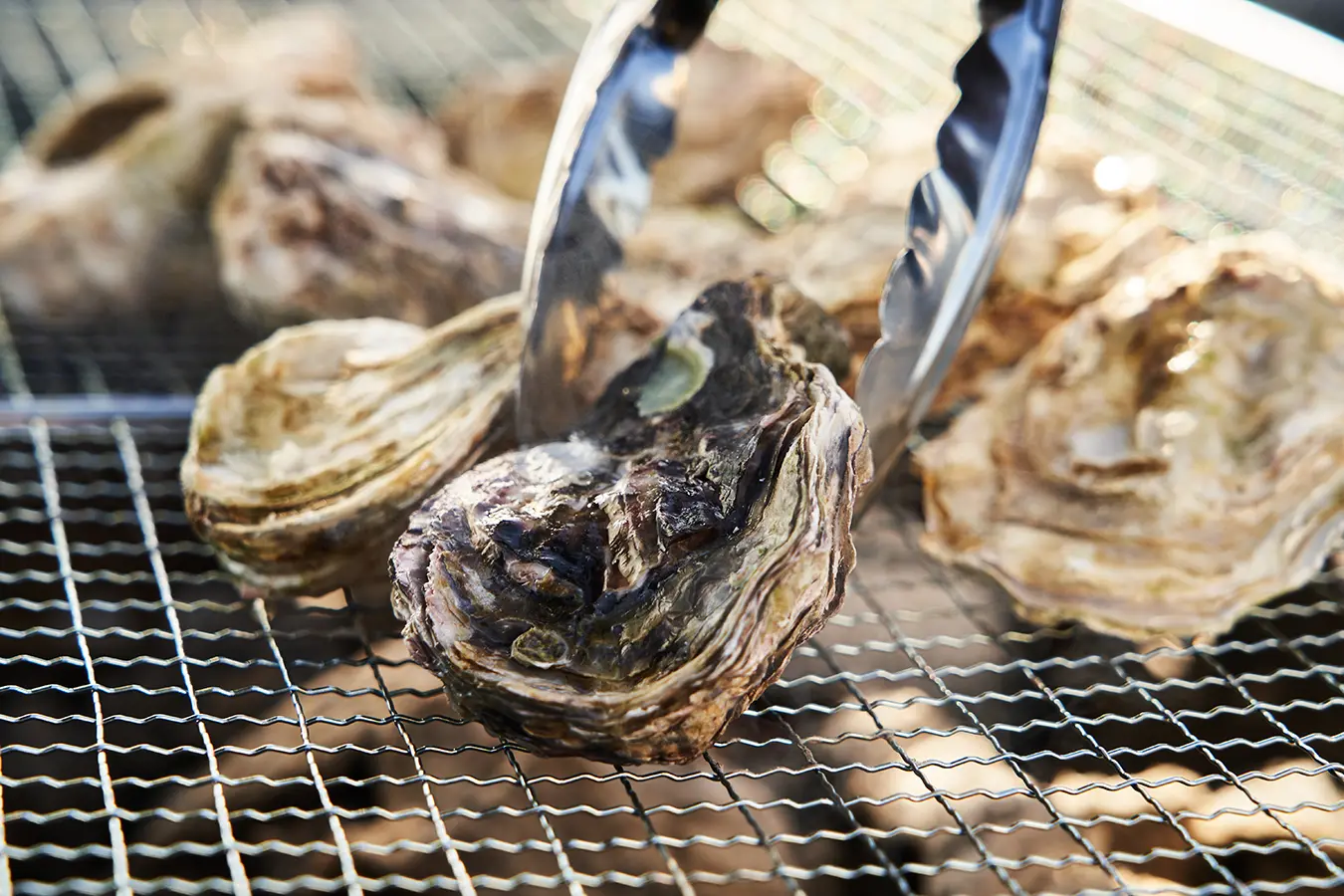 銘柄別牡蠣食べ放題